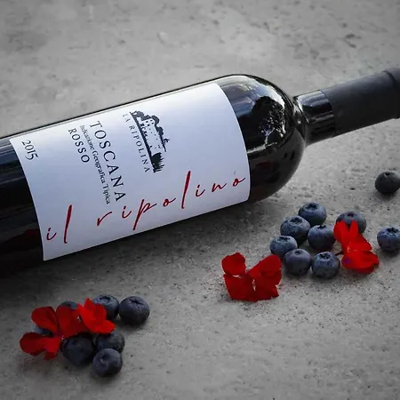 La Ripolina Séjour à la campagne *