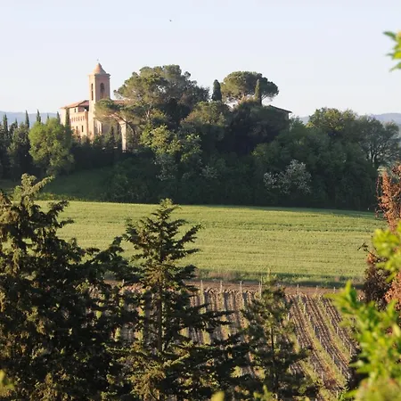 La Ripolina * Buonconvento