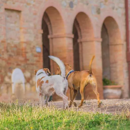 La Ripolina Buonconvento