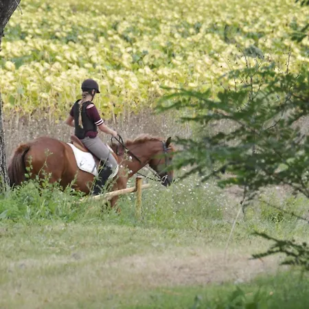 La Ripolina * 부온콘벤토