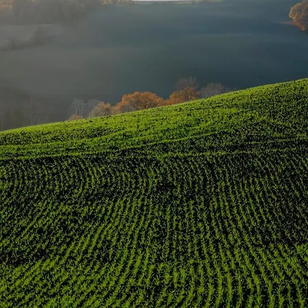 La Ripolina 컨트리하우스