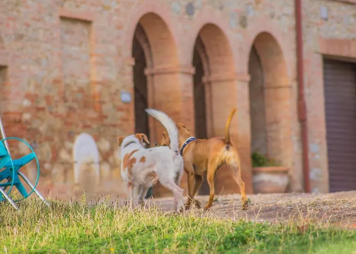La Ripolina Buonconvento